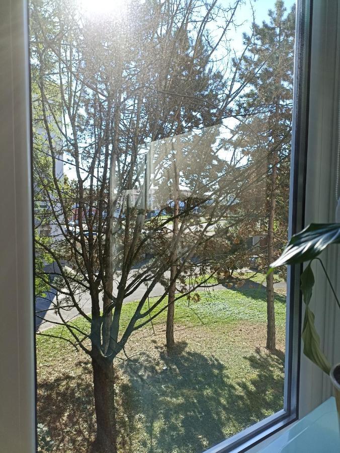 Čakovec Apartment Close2Park *** מראה חיצוני תמונה
